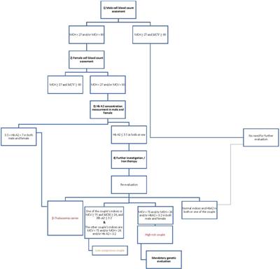 An analysis of the distribution and spectrum of alpha thalassemia mutations in Rasht City, North of Iran